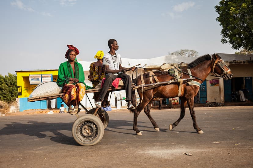 pracovninahledy-Gambia-JKubicek141.jpeg
