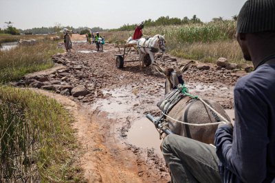 pracovninahledy-Gambia-JKubicek168.jpeg
